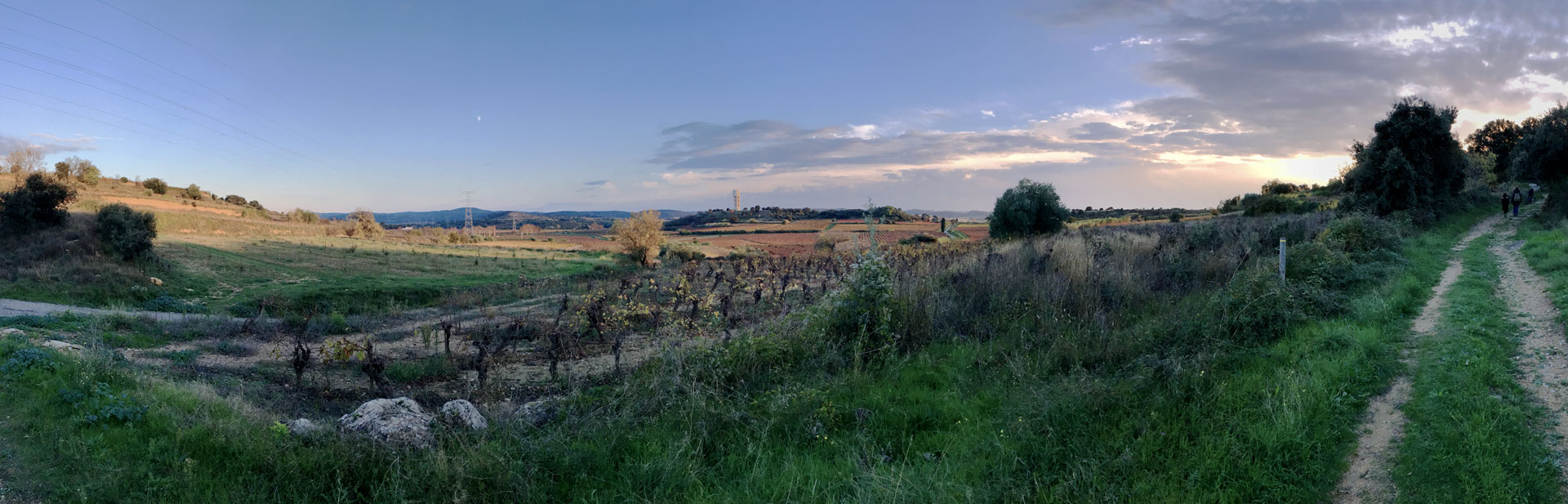 belle vue panoramique en campagne au lever du soleil